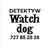 Detektyw Wrocław "Watchdog" 727 88 28 28 profile picture